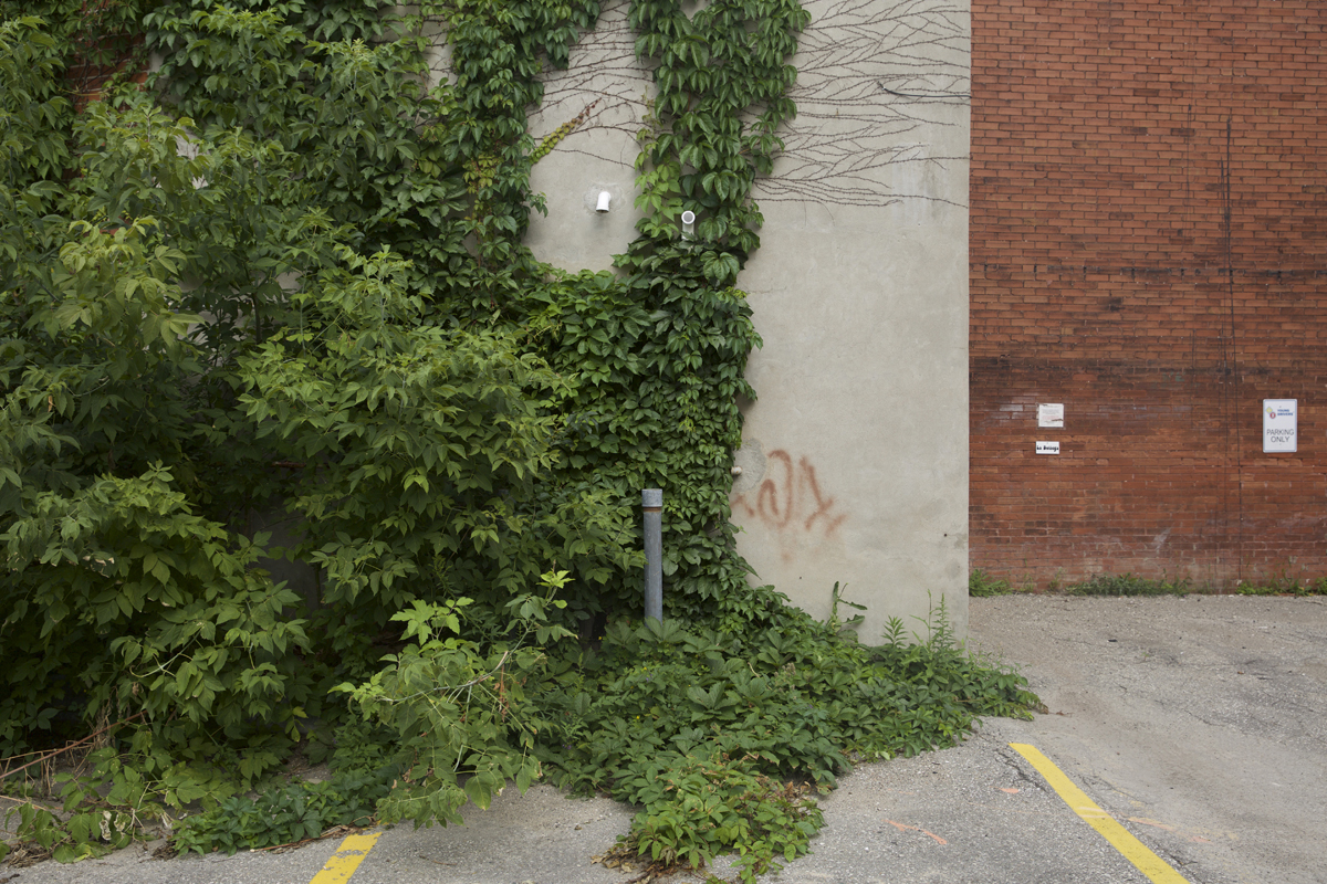 02 Douglas Street Alleyway - Capture photo 5 - Sounding the City 003 - Guelph 2018